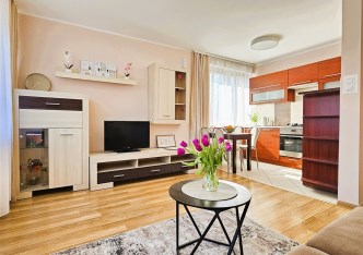 mieszkanie na wynajem - Katowice, Brynów, Piękna