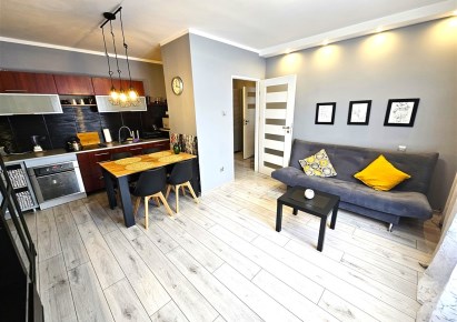 mieszkanie na wynajem - Katowice, Koszutka, Grażyńskiego