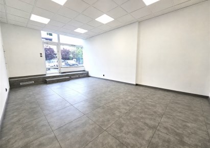 lokal na wynajem - Katowice, Brynów, Rolna